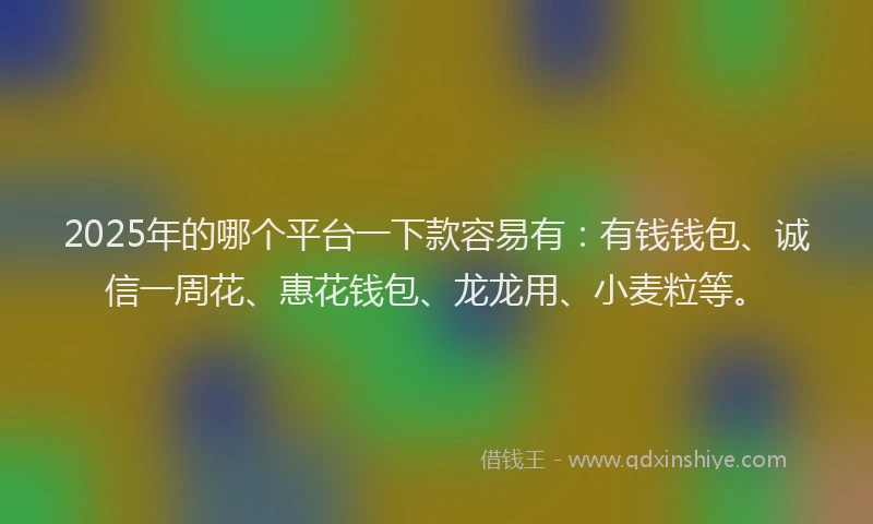 2025年的哪个平台一下款容易有：有钱钱包、诚信一周花、惠花钱包、龙龙用、小麦粒等。