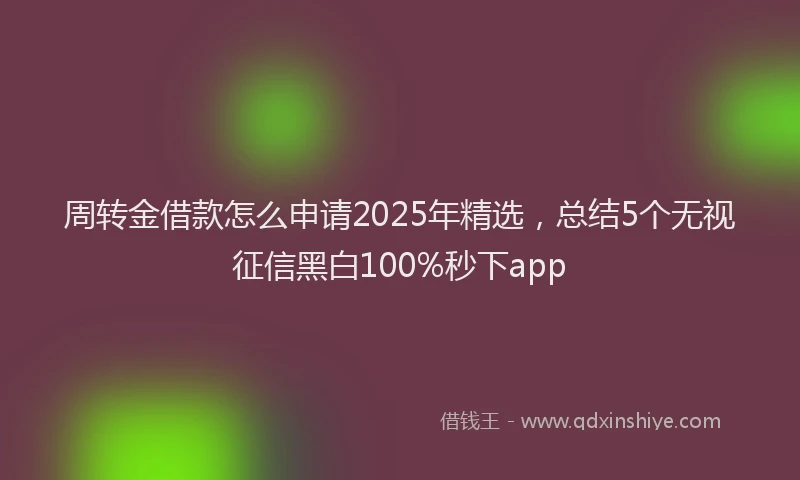 周转金借款怎么申请2025年精选，总结5个无视征信黑白100%秒下app
