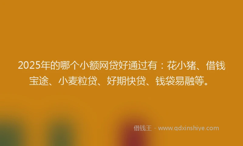 2025年的哪个小额网贷好通过有：花小猪、借钱宝途、小麦粒贷、好期快贷、钱袋易融等。