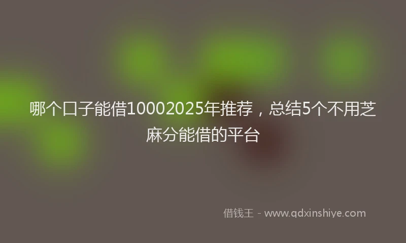 哪个口子能借10002025年推荐，总结5个不用芝麻分能借的平台