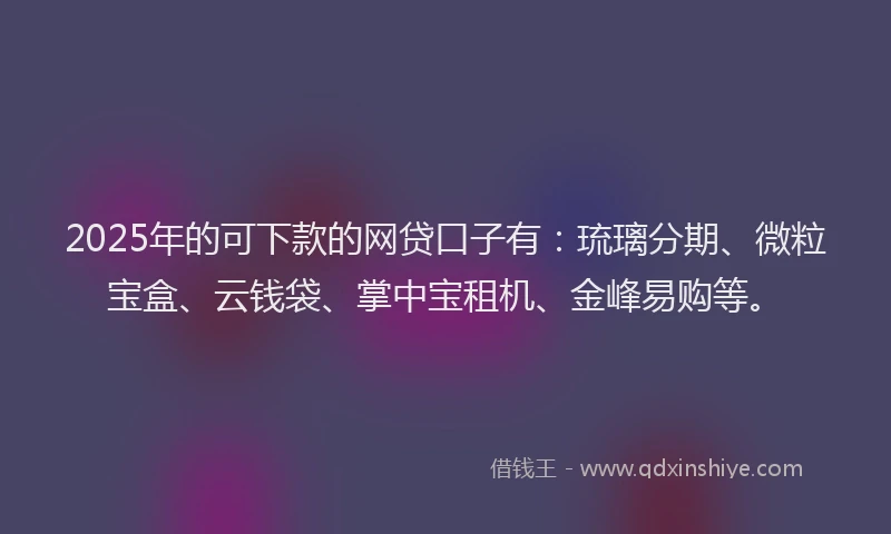 2025年的可下款的网贷口子有：琉璃分期、微粒宝盒、云钱袋、掌中宝租机、金峰易购等。