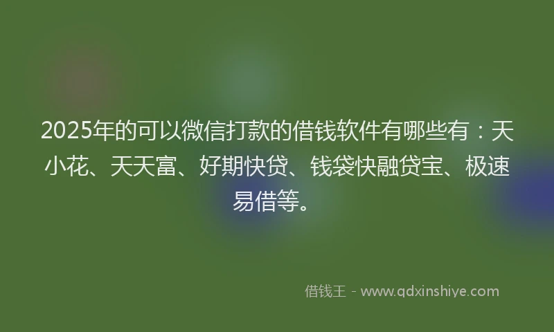 2025年的可以微信打款的借钱软件有哪些有：天小花、天天富、好期快贷、钱袋快融贷宝、极速易借等。