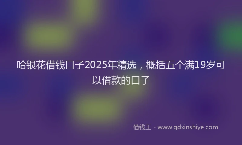 哈银花借钱口子2025年精选，概括五个满19岁可以借款的口子