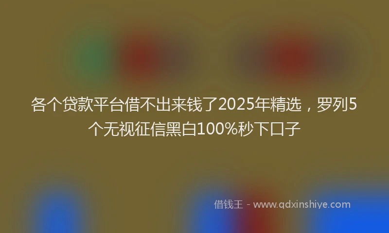 各个贷款平台借不出来钱了2025年精选，罗列5个无视征信黑白100%秒下口子