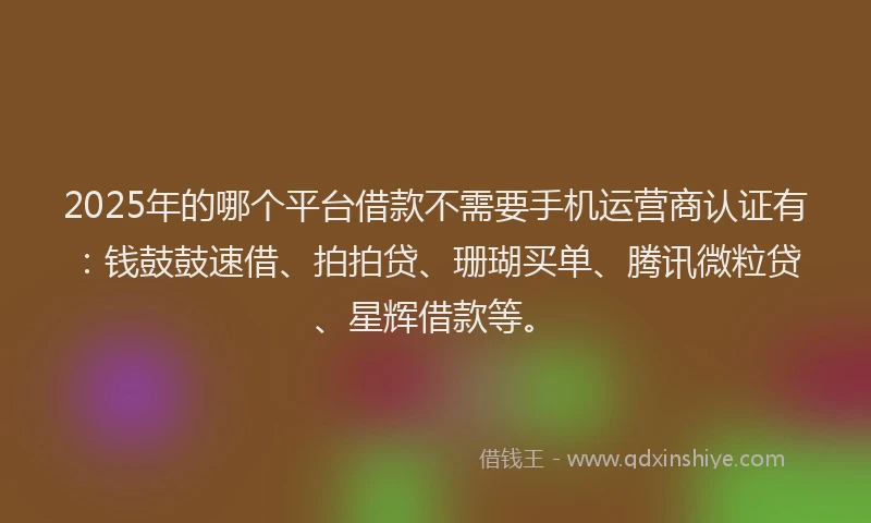 2025年的哪个平台借款不需要手机运营商认证有：钱鼓鼓速借、拍拍贷、珊瑚买单、腾讯微粒贷、星辉借款等。