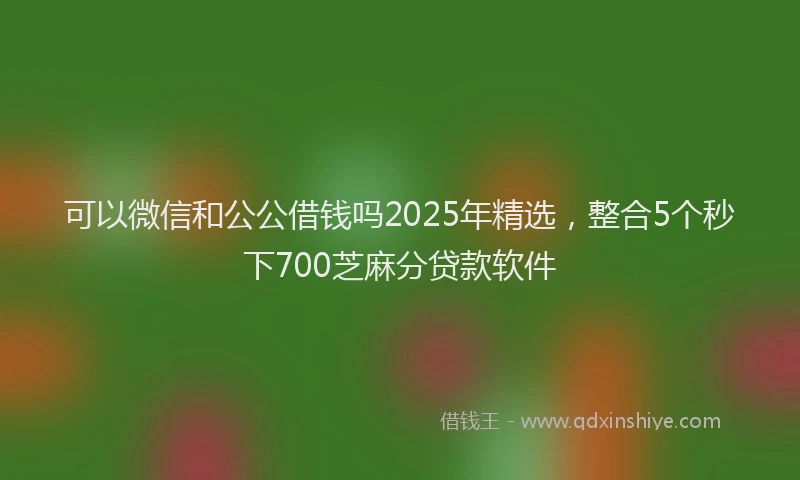 可以微信和公公借钱吗2025年精选，整合5个秒下700芝麻分贷款软件