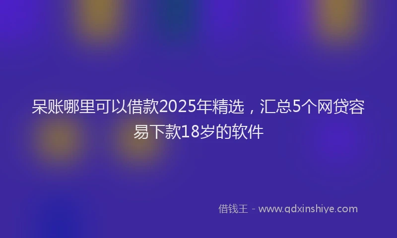 呆账哪里可以借款2025年精选，汇总5个网贷容易下款18岁的软件