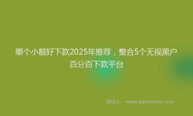 哪个小额好下款2025年推荐，整合5个无视黑户百分百下款平台