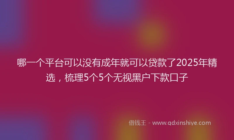 哪一个平台可以没有成年就可以贷款了2025年精选，梳理5个5个无视黑户下款口子