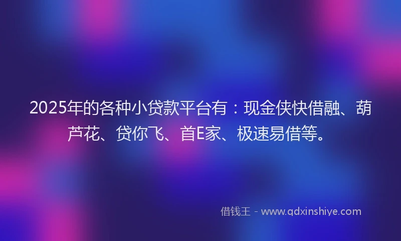 2025年的各种小贷款平台有：现金侠快借融、葫芦花、贷你飞、首E家、极速易借等。
