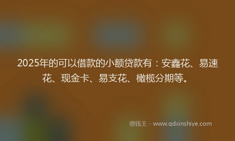 2025年的可以借款的小额贷款有：安鑫花、易速花、现金卡、易支花、橄榄分期等。