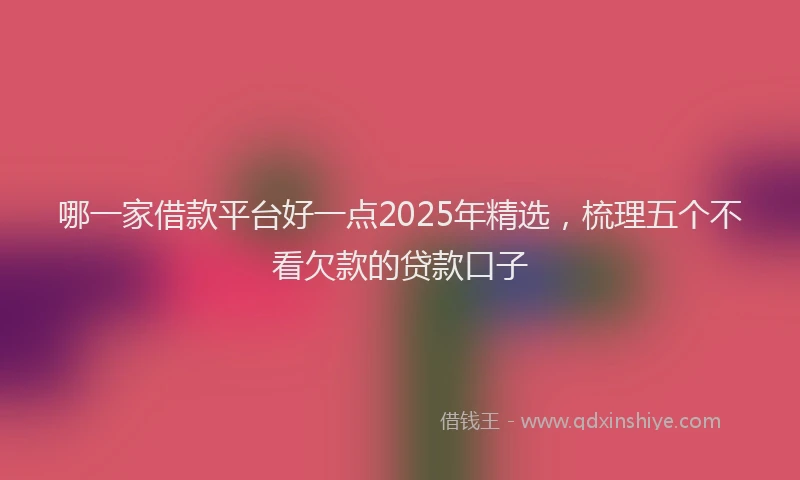 哪一家借款平台好一点2025年精选，梳理五个不看欠款的贷款口子