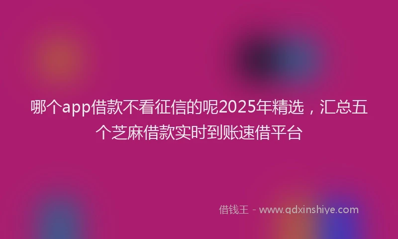 哪个app借款不看征信的呢2025年精选，汇总五个芝麻借款实时到账速借平台