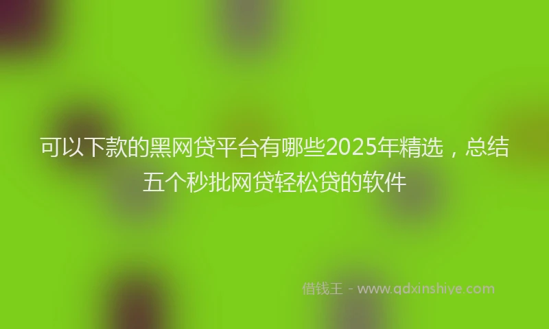 可以下款的黑网贷平台有哪些2025年精选，总结五个秒批网贷轻松贷的软件