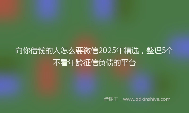 向你借钱的人怎么要微信2025年精选，整理5个不看年龄征信负债的平台