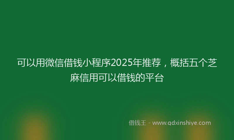 可以用微信借钱小程序2025年推荐，概括五个芝麻信用可以借钱的平台