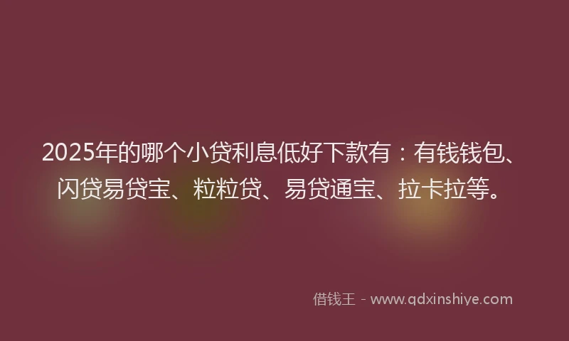 2025年的哪个小贷利息低好下款有：有钱钱包、闪贷易贷宝、粒粒贷、易贷通宝、拉卡拉等。