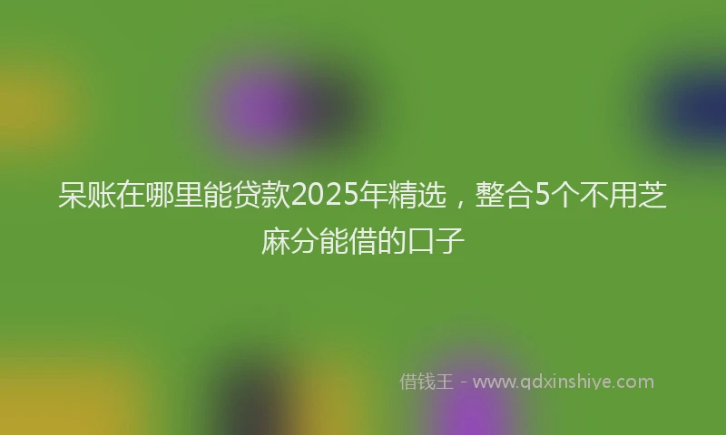 呆账在哪里能贷款2025年精选，整合5个不用芝麻分能借的口子