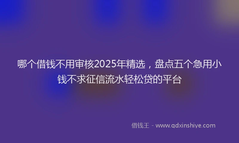 哪个借钱不用审核2025年精选,盘点五个急用小钱不求征信流水轻松贷的平台