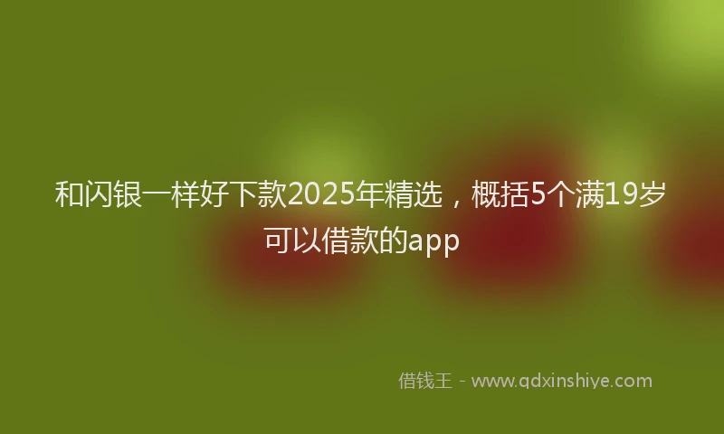 和闪银一样好下款2025年精选，概括5个满19岁可以借款的app