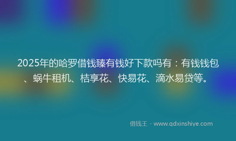 2025年的哈罗借钱臻有钱好下款吗有:有钱钱包、蜗牛租机、桔享花、快易花、滴水易贷等。