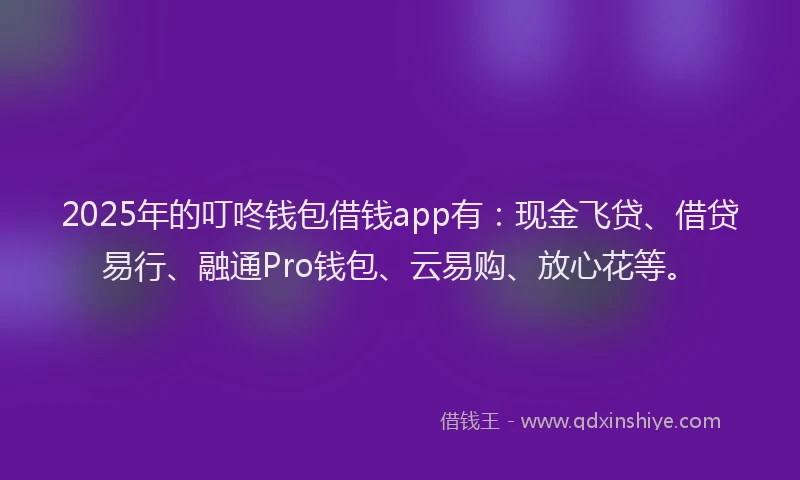 2025年的叮咚钱包借钱app有：现金飞贷、借贷易行、融通Pro钱包、云易购、放心花等。