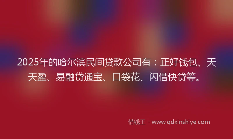 2025年的哈尔滨民间贷款公司有：正好钱包、天天盈、易融贷通宝、口袋花、闪借快贷等。