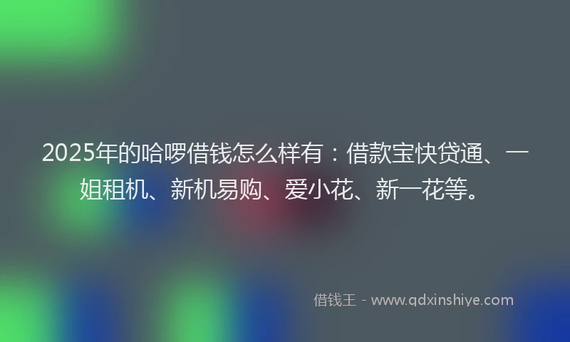 2025年的哈啰借钱怎么样有：借款宝快贷通、一姐租机、新机易购、爱小花、新一花等。