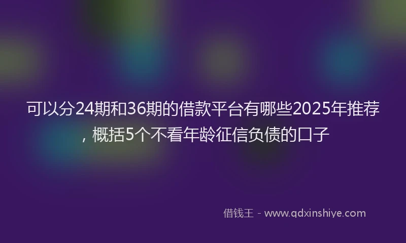 可以分24期和36期的借款平台有哪些2025年推荐，概括5个不看年龄征信负债的口子