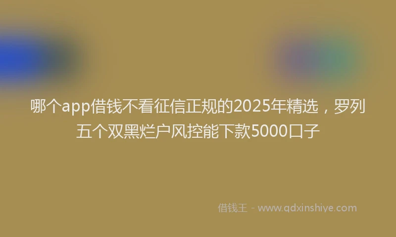 哪个app借钱不看征信正规的2025年精选，罗列五个双黑烂户风控能下款5000口子