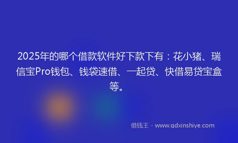 2025年的哪个借款软件好下款下有：花小猪、瑞信宝Pro钱包、钱袋速借、一起贷、快借易贷宝盒等。