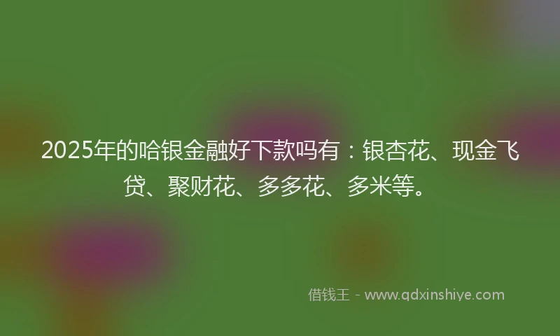 2025年的哈银金融好下款吗有:银杏花、现金飞贷、聚财花、多多花、多米等。