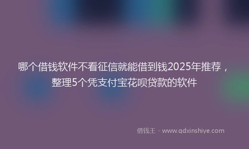 哪个借钱软件不看征信就能借到钱2025年推荐，整理5个凭支付宝花呗贷款的软件