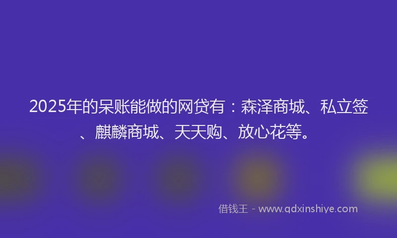2025年的呆账能做的网贷有：森泽商城、私立签、麒麟商城、天天购、放心花等。