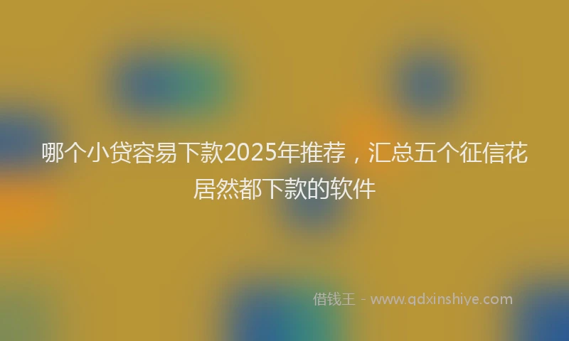 哪个小贷容易下款2025年推荐,汇总五个征信花居然都下款的软件