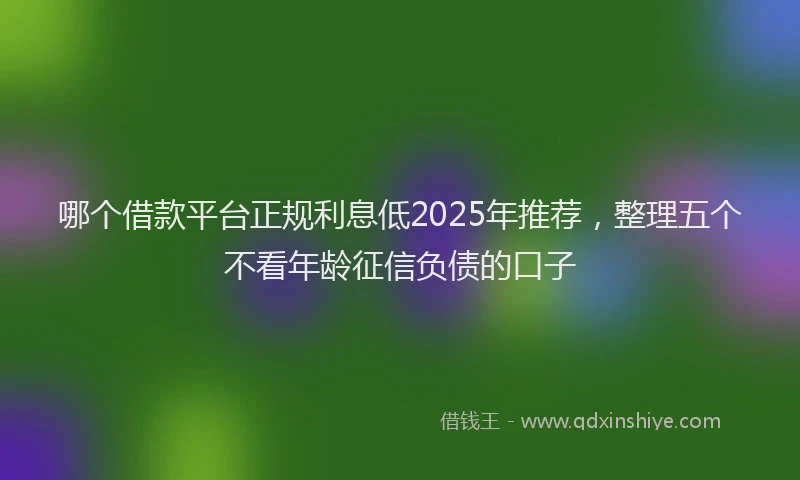 哪个借款平台正规利息低2025年推荐，整理五个不看年龄征信负债的口子