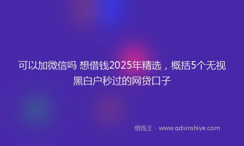 可以加微信吗 想借钱2025年精选，概括5个无视黑白户秒过的网贷口子