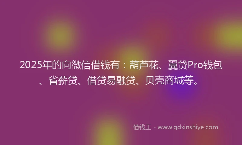 2025年的向微信借钱有：葫芦花、翼贷Pro钱包、省薪贷、借贷易融贷、贝壳商城等。
