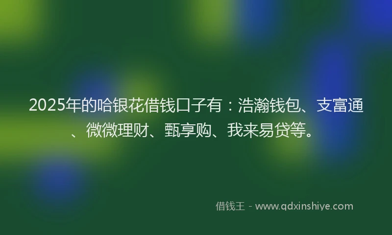 2025年的哈银花借钱口子有：浩瀚钱包、支富通、微微理财、甄享购、我来易贷等。