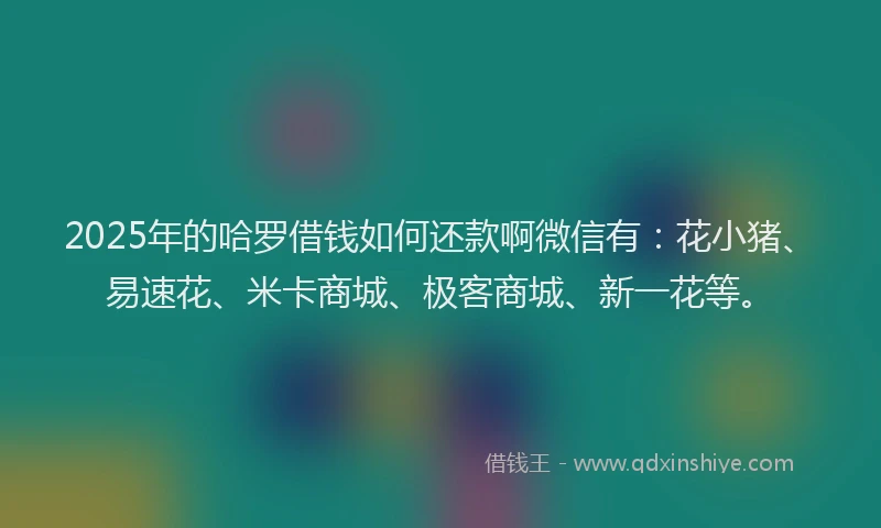 2025年的哈罗借钱如何还款啊微信有:花小猪、易速花、米卡商城、极客商城、新一花等。