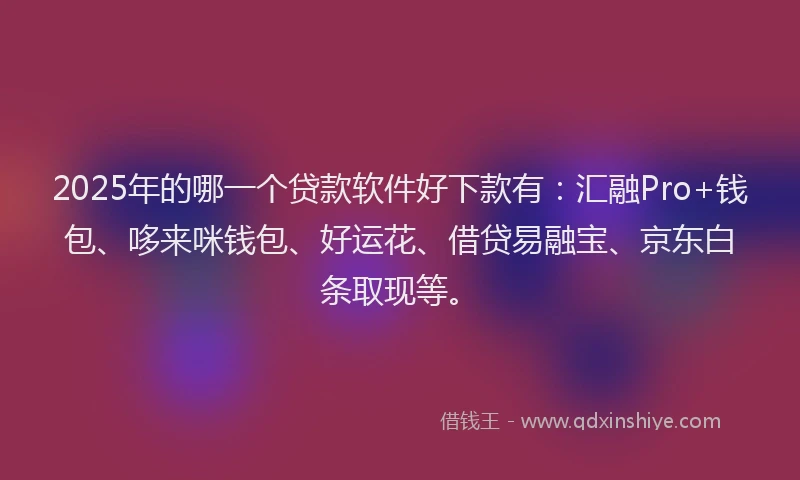 2025年的哪一个贷款软件好下款有：汇融Pro+钱包、哆来咪钱包、好运花、借贷易融宝、京东白条取现等。