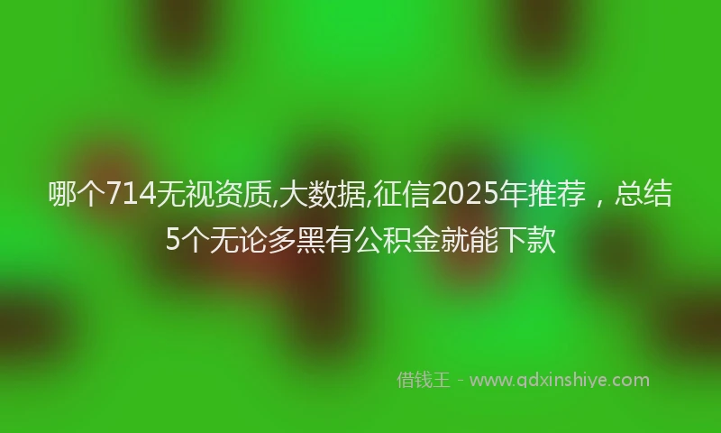 哪个714无视资质,大数据,征信2025年推荐，总结5个无论多黑有公积金就能下款