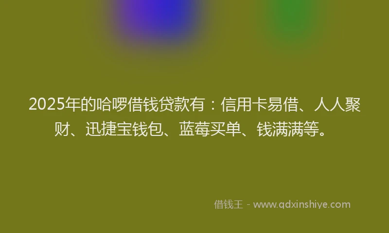 2025年的哈啰借钱贷款有：信用卡易借、人人聚财、迅捷宝钱包、蓝莓买单、钱满满等。