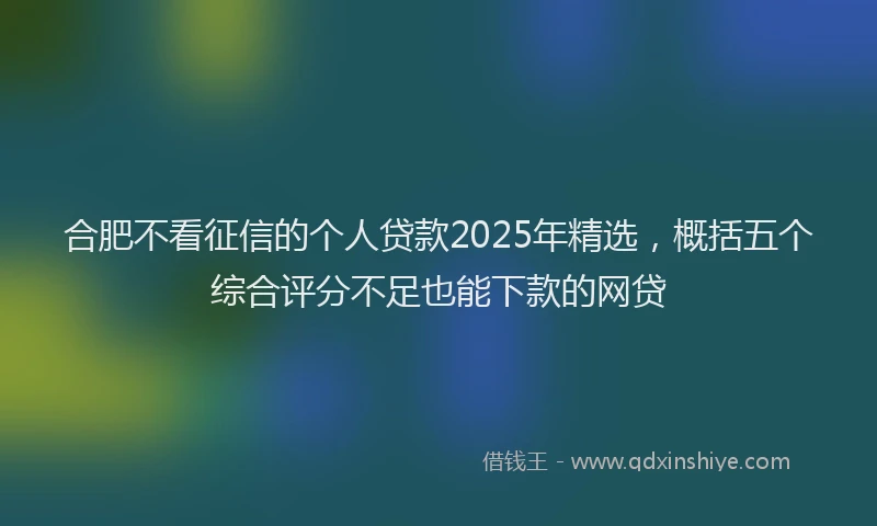 合肥不看征信的个人贷款2025年精选，概括五个综合评分不足也能下款的网贷