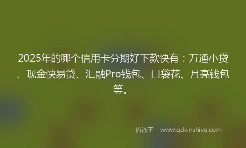 2025年的哪个信用卡分期好下款快有：万通小贷、现金快易贷、汇融Pro钱包、口袋花、月亮钱包等。