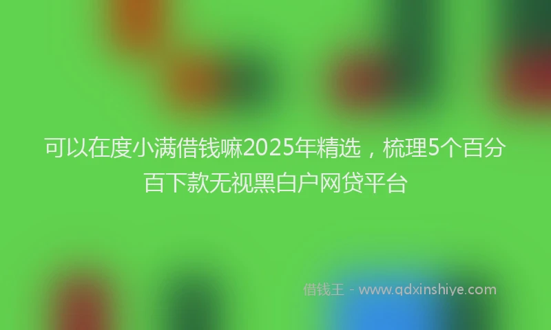 可以在度小满借钱嘛2025年精选，梳理5个百分百下款无视黑白户网贷平台