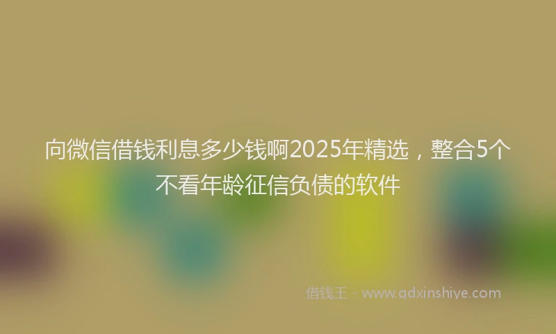 向微信借钱利息多少钱啊2025年精选，整合5个不看年龄征信负债的软件