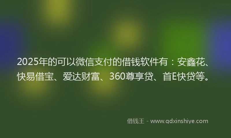 2025年的可以微信支付的借钱软件有：安鑫花、快易借宝、爱达财富、360尊享贷、首E快贷等。