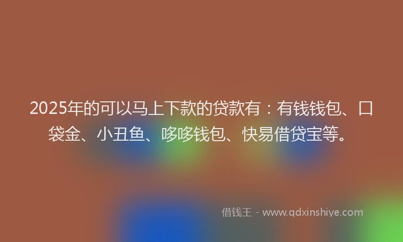 2025年的可以马上下款的贷款有：有钱钱包、口袋金、小丑鱼、哆哆钱包、快易借贷宝等。