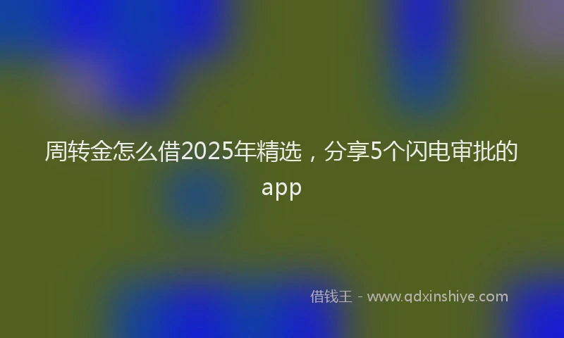 周转金怎么借2025年精选，分享5个闪电审批的app